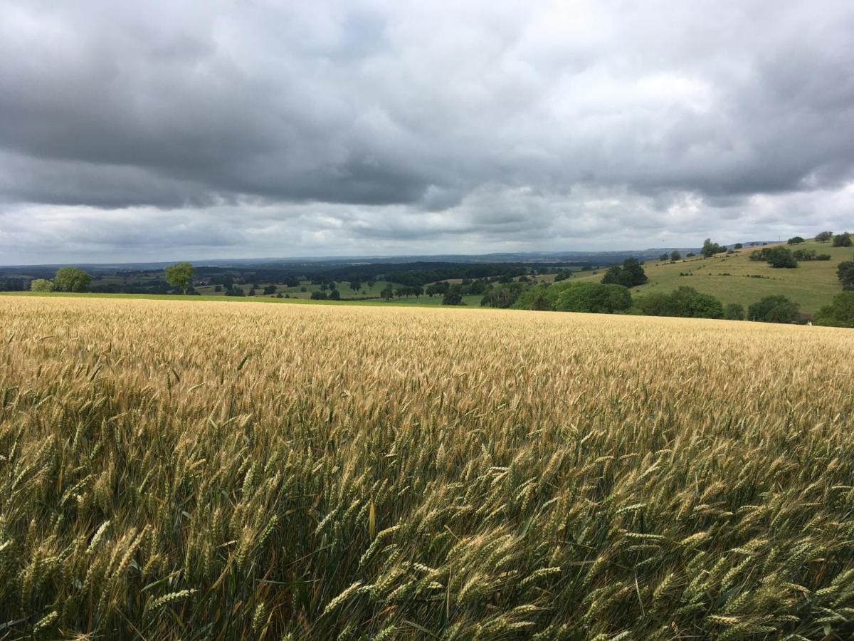 Au Cheval Bleu Bed & Breakfast Fontenay-pres-Vezelay Luaran gambar