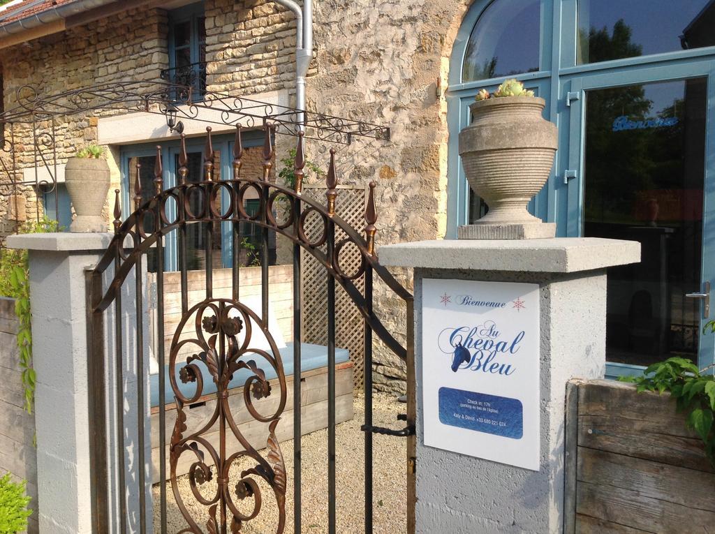 Au Cheval Bleu Bed & Breakfast Fontenay-pres-Vezelay Luaran gambar
