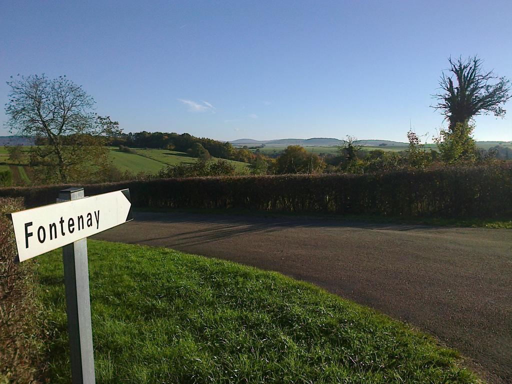 Au Cheval Bleu Bed & Breakfast Fontenay-pres-Vezelay Luaran gambar