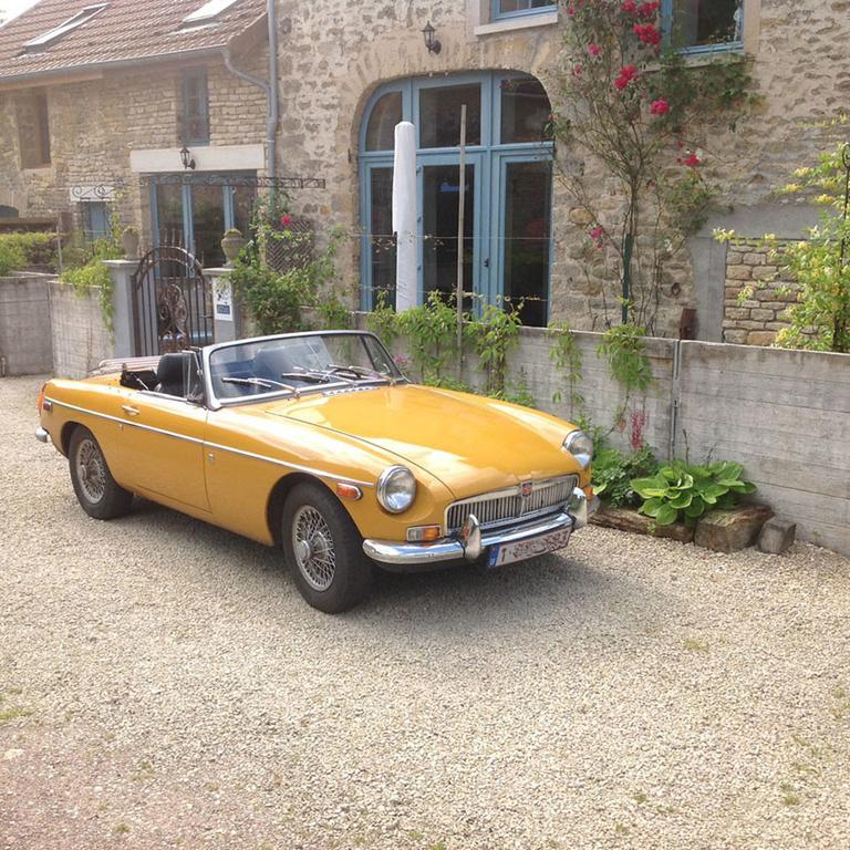 Au Cheval Bleu Bed & Breakfast Fontenay-pres-Vezelay Luaran gambar
